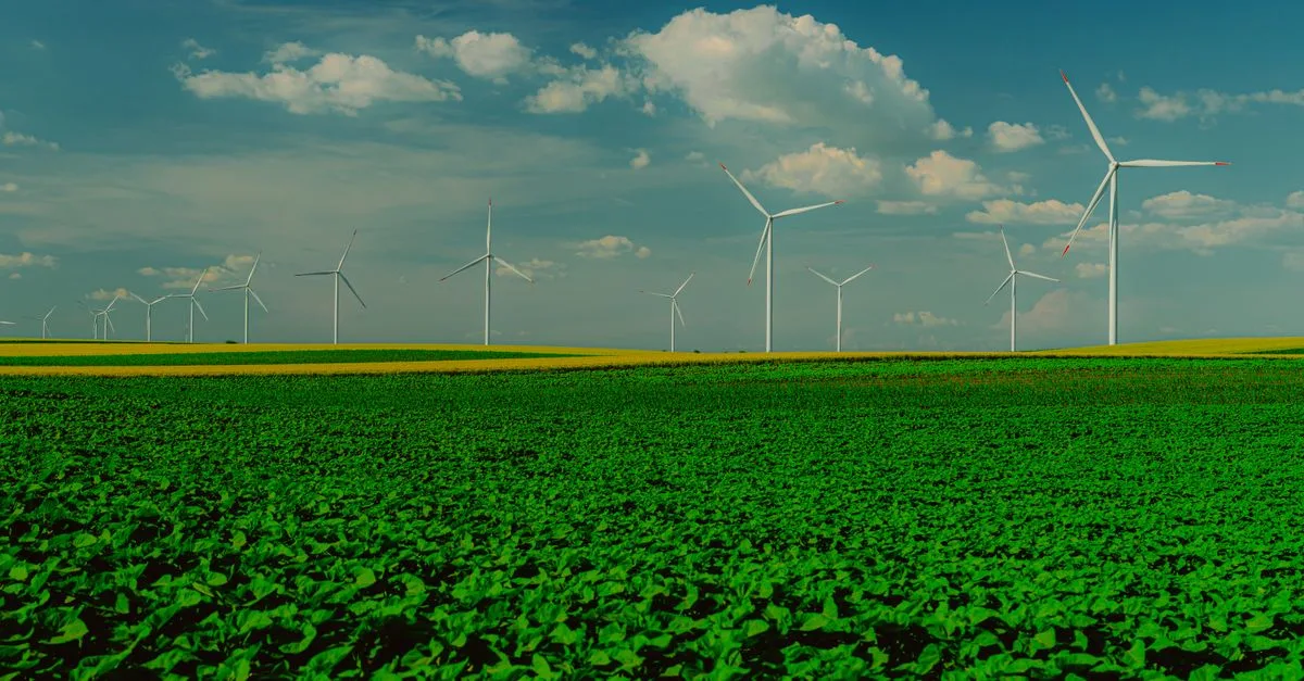 découvrez l'agriculture écologique innovante alliant technologie et respect de l'environnement pour une production durable et responsable.